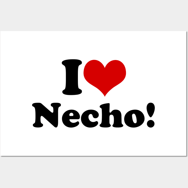 I Heart Necho Wall Art by hadij1264